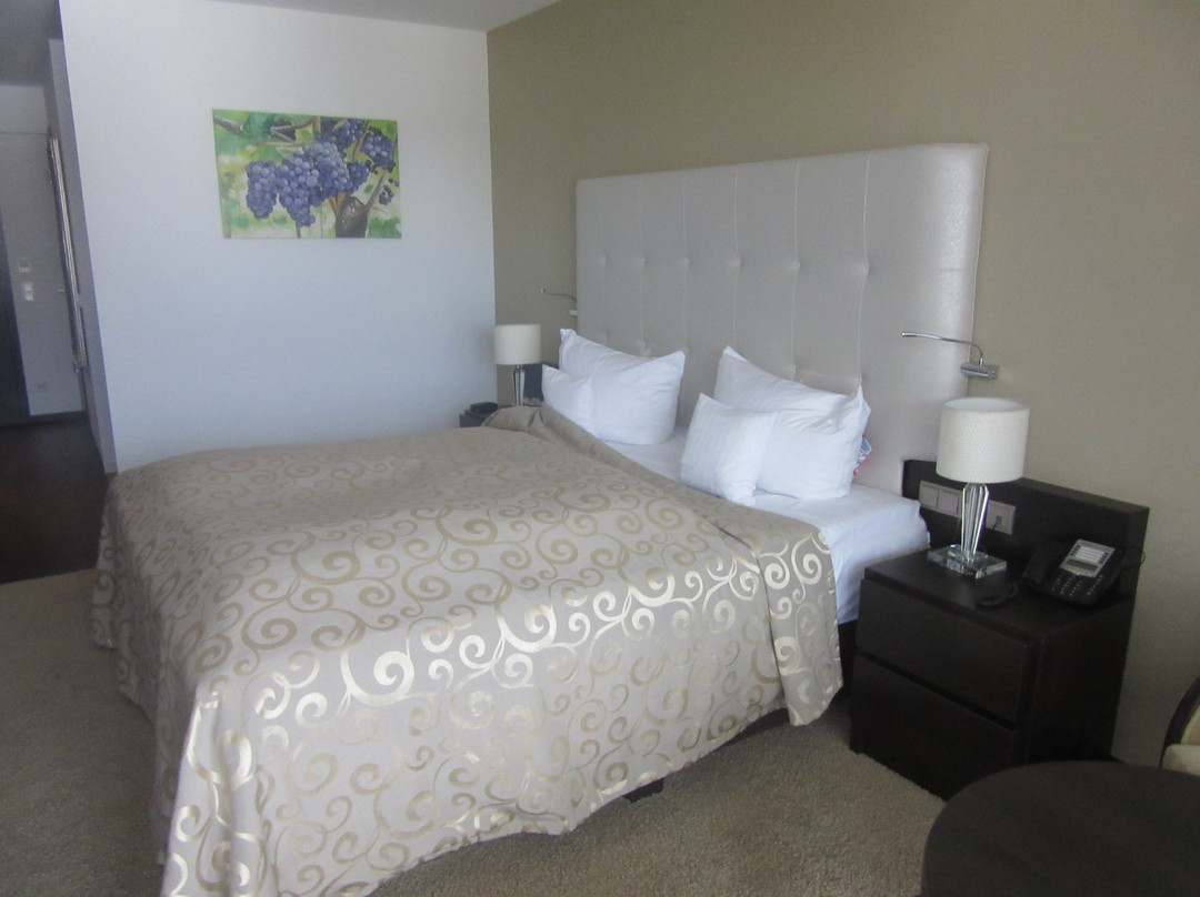 Hotel Winzerstube Ihringen主图