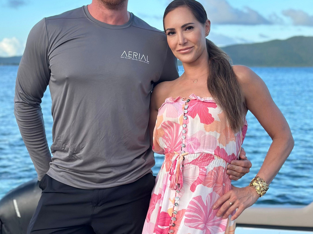 The Aerial, BVI主图