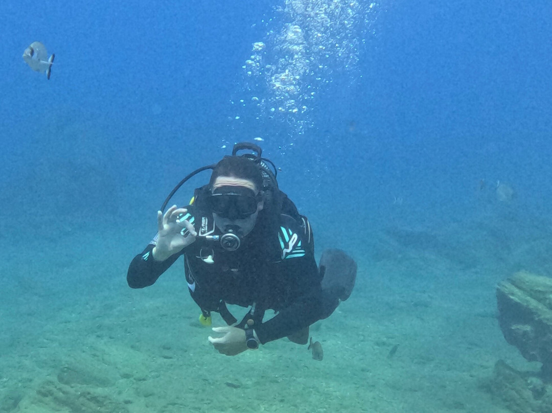 Dolphin Diving Center-雷斯蒙必去景点