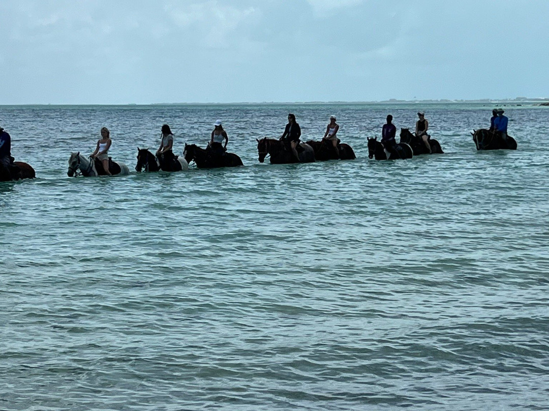 Unique Tours and Rentals-普罗维登西亚莱斯必去景点