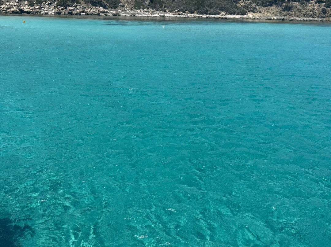 Alkion Glass Bottom Boat-Latchi必去景点