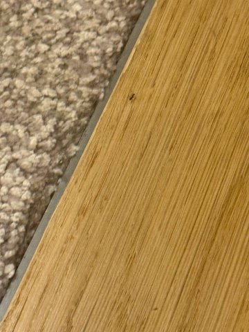 迪拜德拉诺酒店 (雅高旗下酒店)-客卧