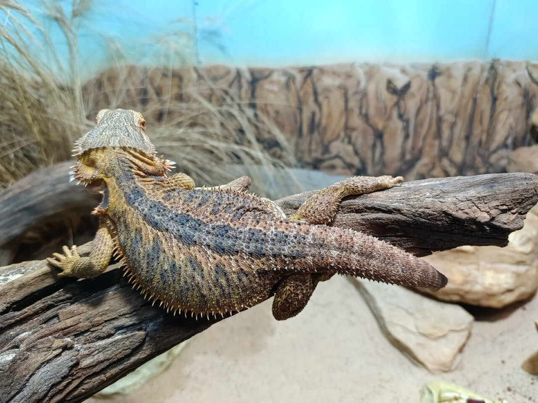 Butantan Institute-圣保罗必去景点