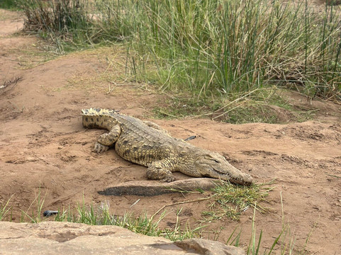 Callimero Safari-马林地必去景点