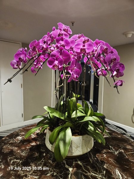 吉隆坡千禧大酒店-浴室