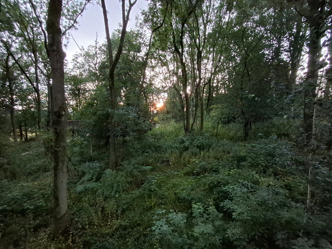 Wildhive Callow Hall主图