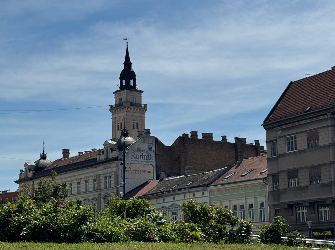 Svetozar Miletic Square-诺维萨德必去景点