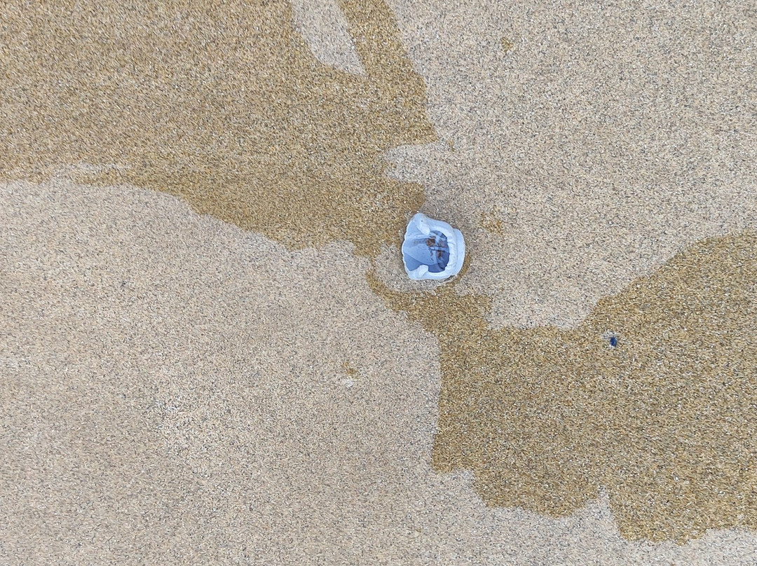 Playa de lenguadillos-萨洛必去景点