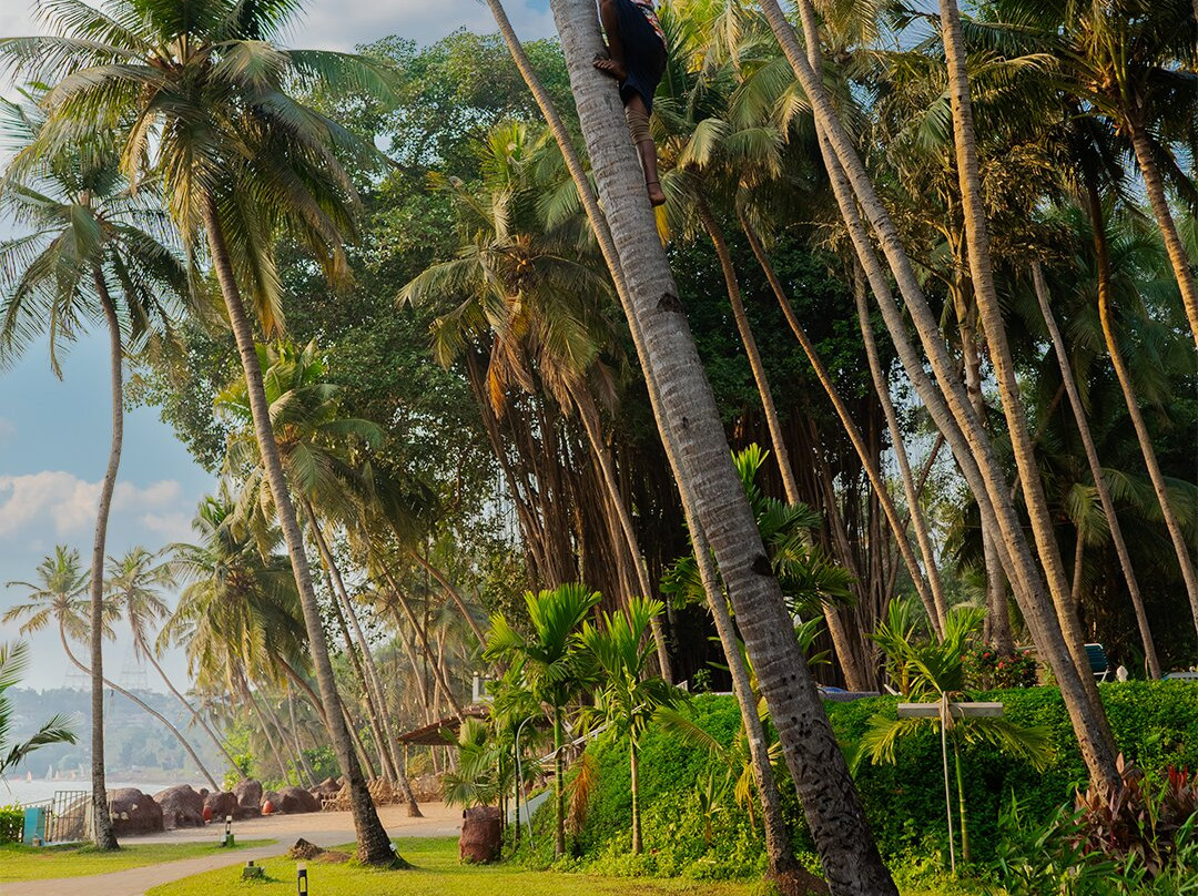 班博里海滩度假村主图