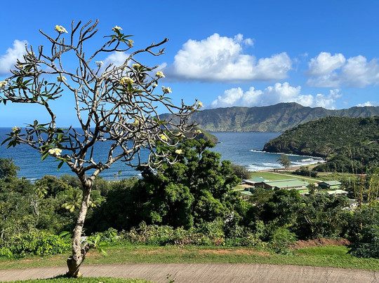 Pension Villa Enata主图