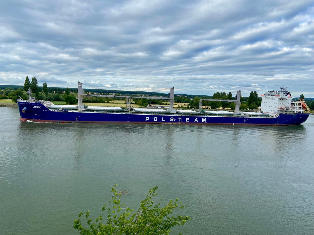 Logis Hôtel le Bellevue主图