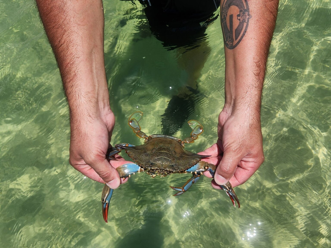 J Katt Boat Tours-Shalimar必去景点