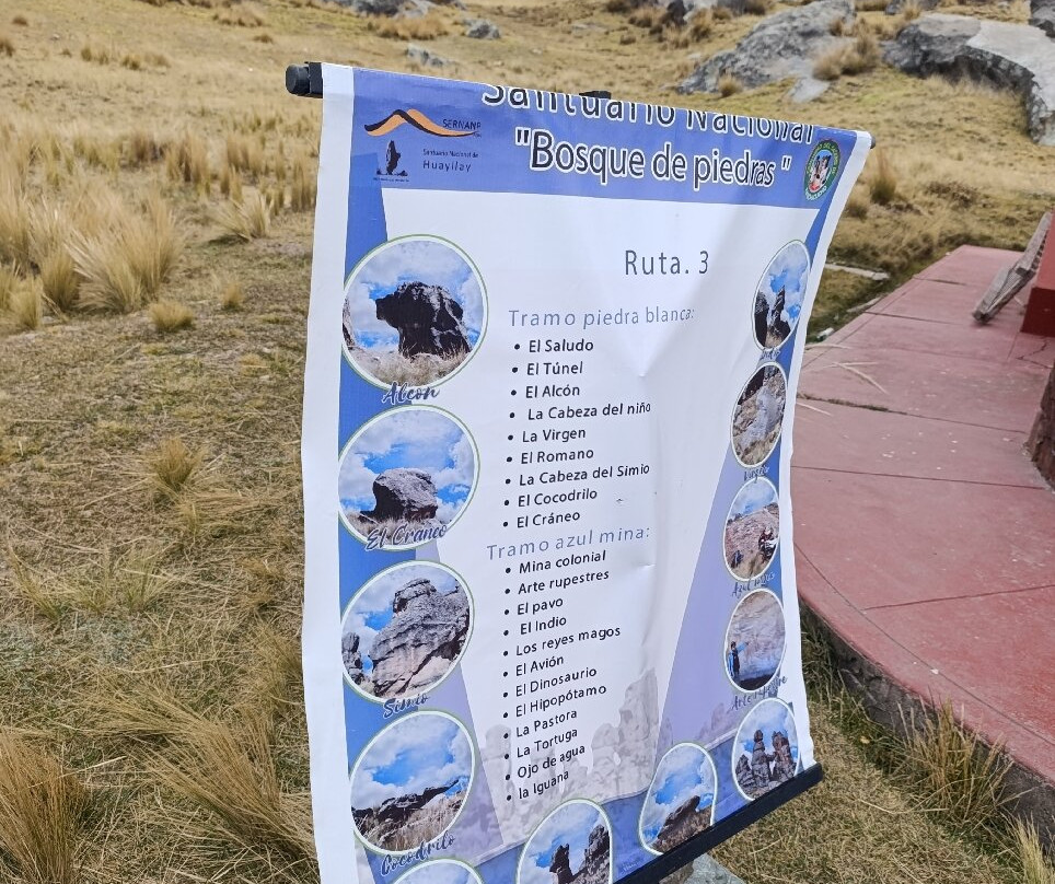 Bosque de piedras de Huayllay-Cerro de Pasco必去景点