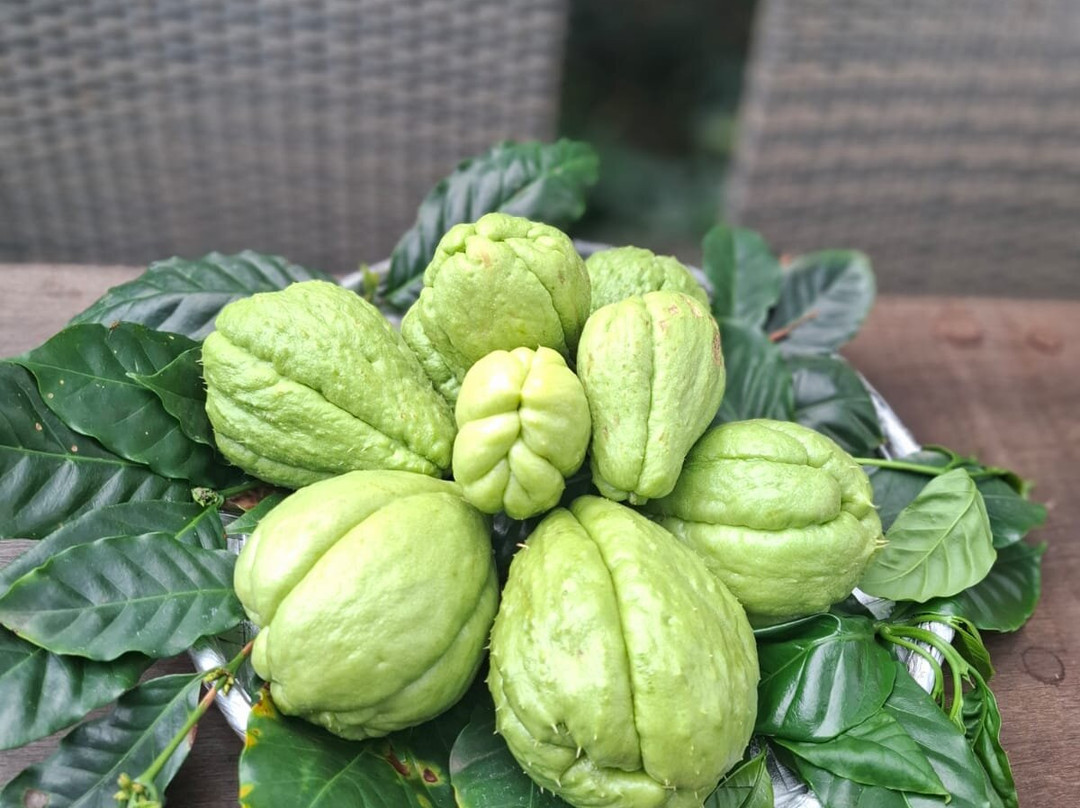 Le Jardin de la Vanille et l'Epice-路易士港必去景点