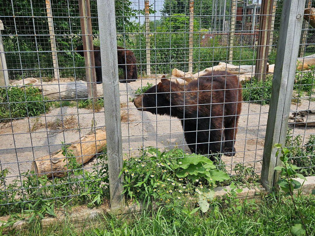 Bervie Zoological Park-Kincardine必去景点