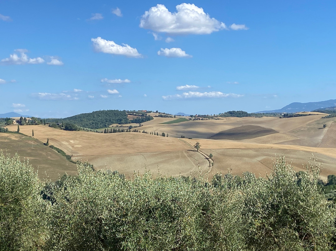 Farm Holiday La Canonica主图