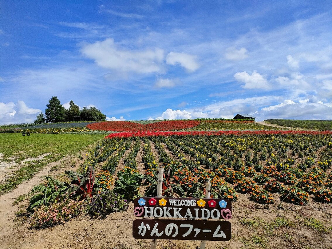 Kanno Firm-上富良野町必去景点