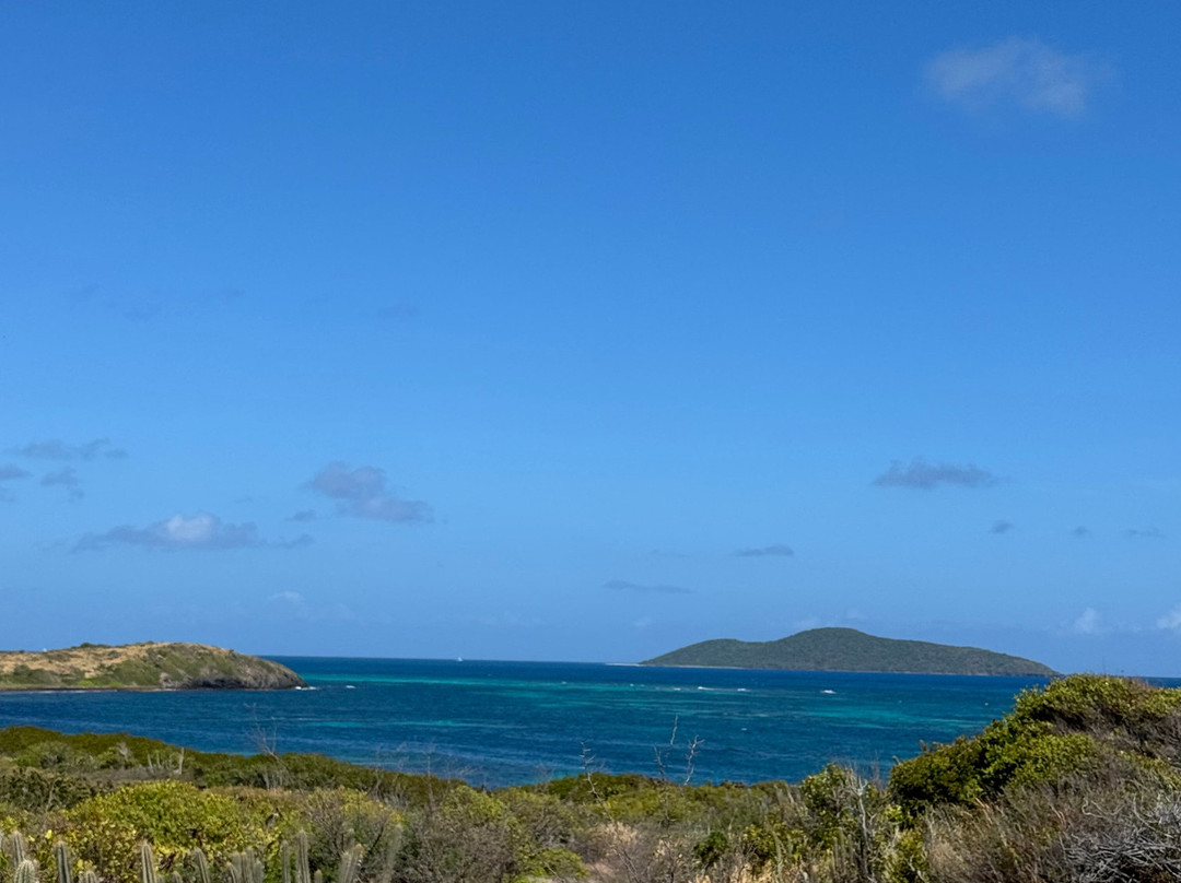 Point Udall-圣克鲁斯必去景点