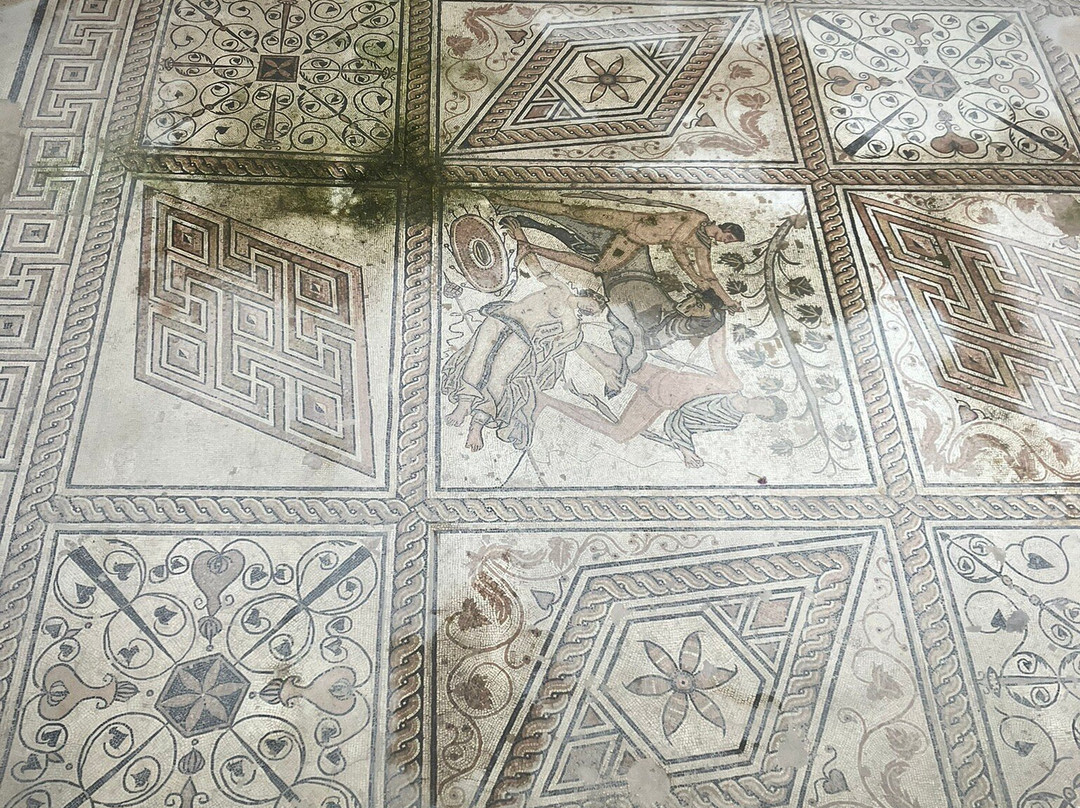 Floor mosaic The Punishment of Dirce-普拉必去景点