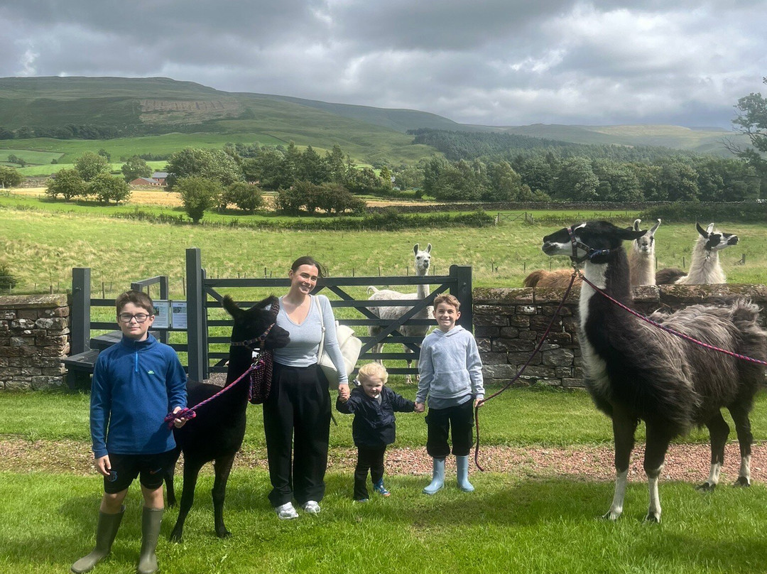 Lakeland Llama Treks-Melmerby必去景点