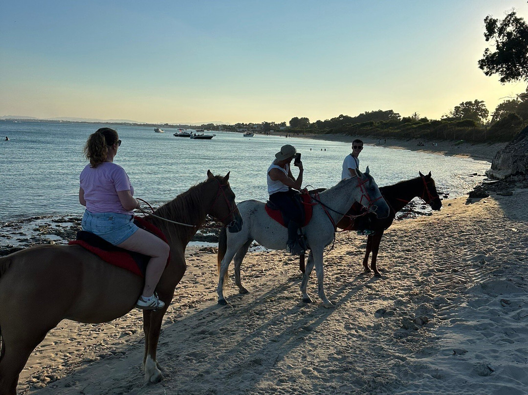 Club Equus Hammamet-哈玛麦德必去景点