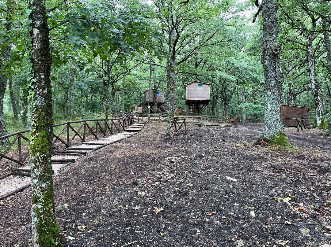 Daunia Avventura-Biccari必去景点