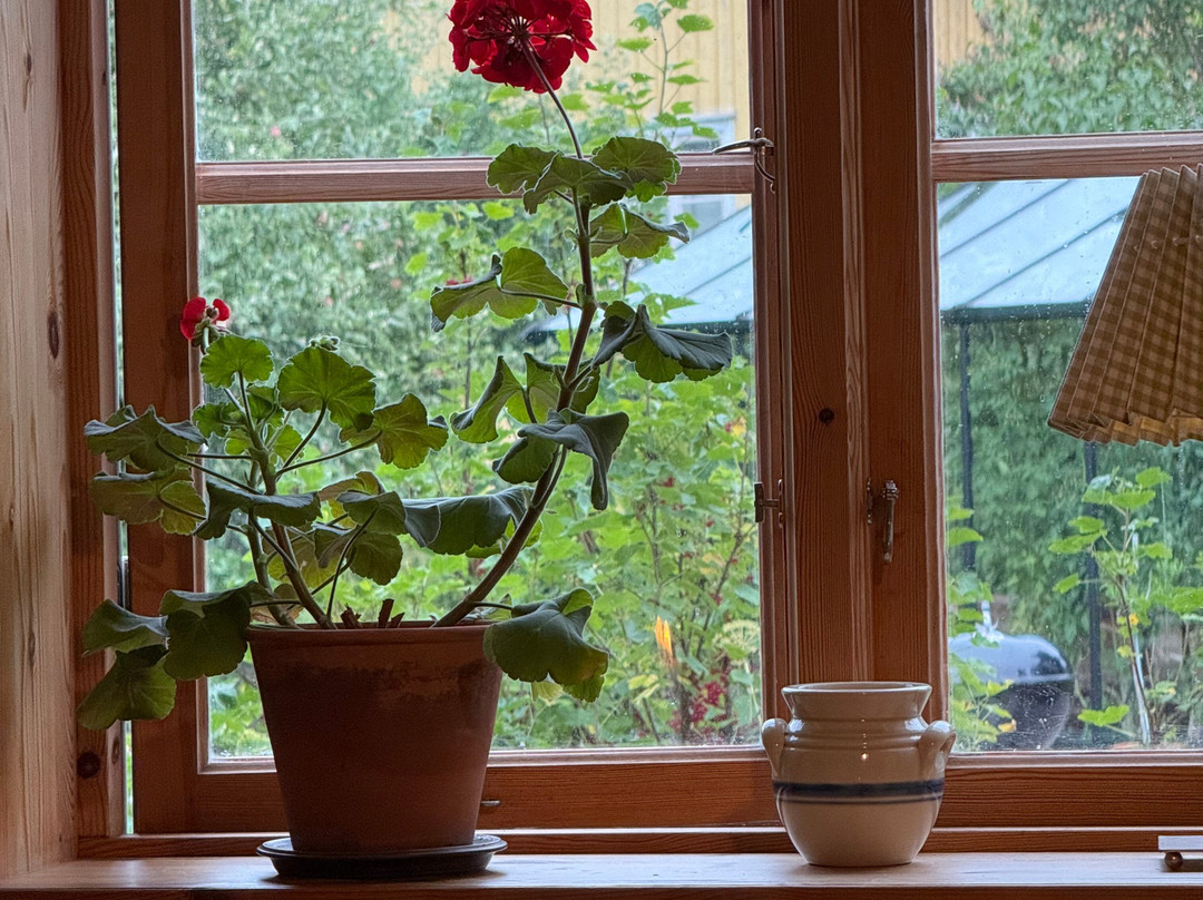 STF Tatorp Cafe & Logi Gota Kanal主图