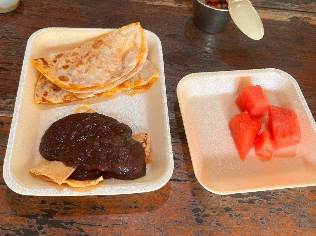 Jungle Kingdom-从莫雷洛斯港必去景点