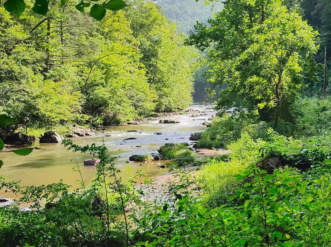 Laurel River Trail-Hot Springs必去景点