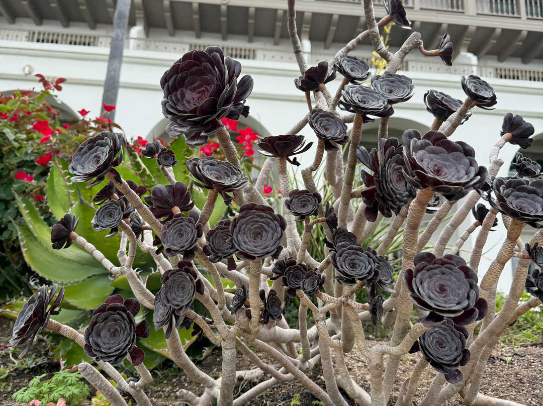 Eco-Adventure Center at The Ritz-Carlton, Laguna Niguel-德纳角必去景点