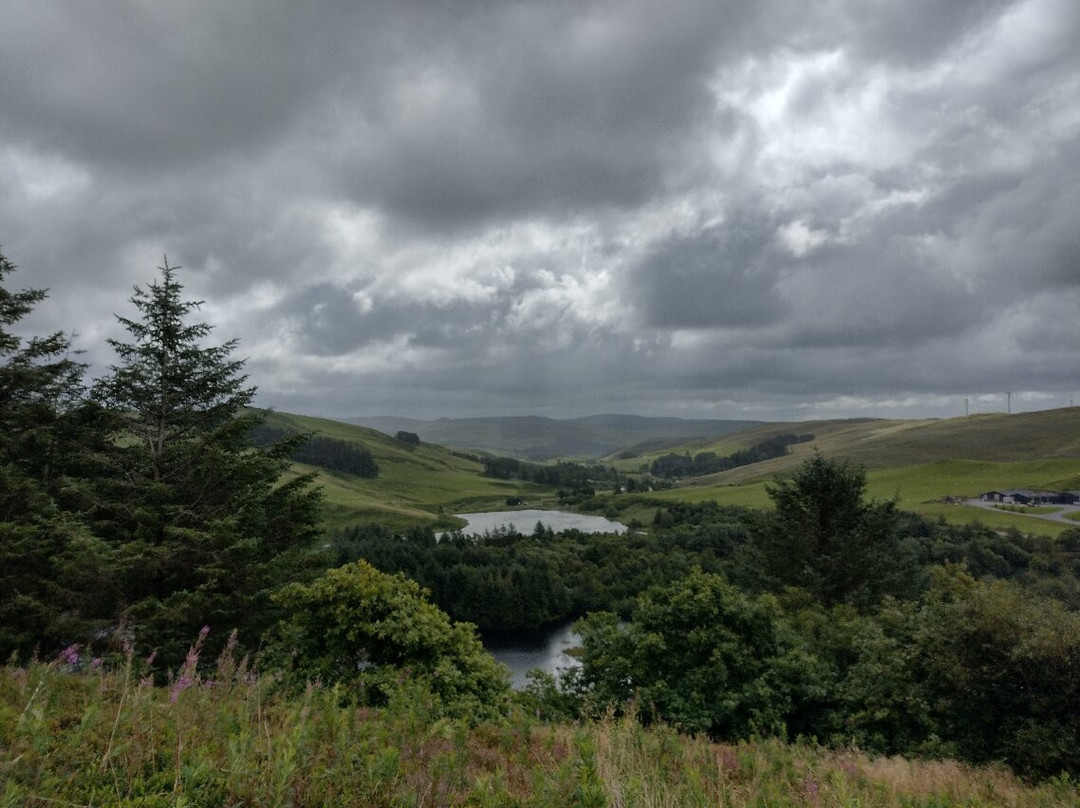 Bwlch Nant yr Arian Forest Visitor Centre-阿伯里斯特威斯必去景点