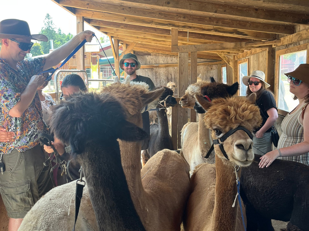 Haute Goat-Port Hope必去景点