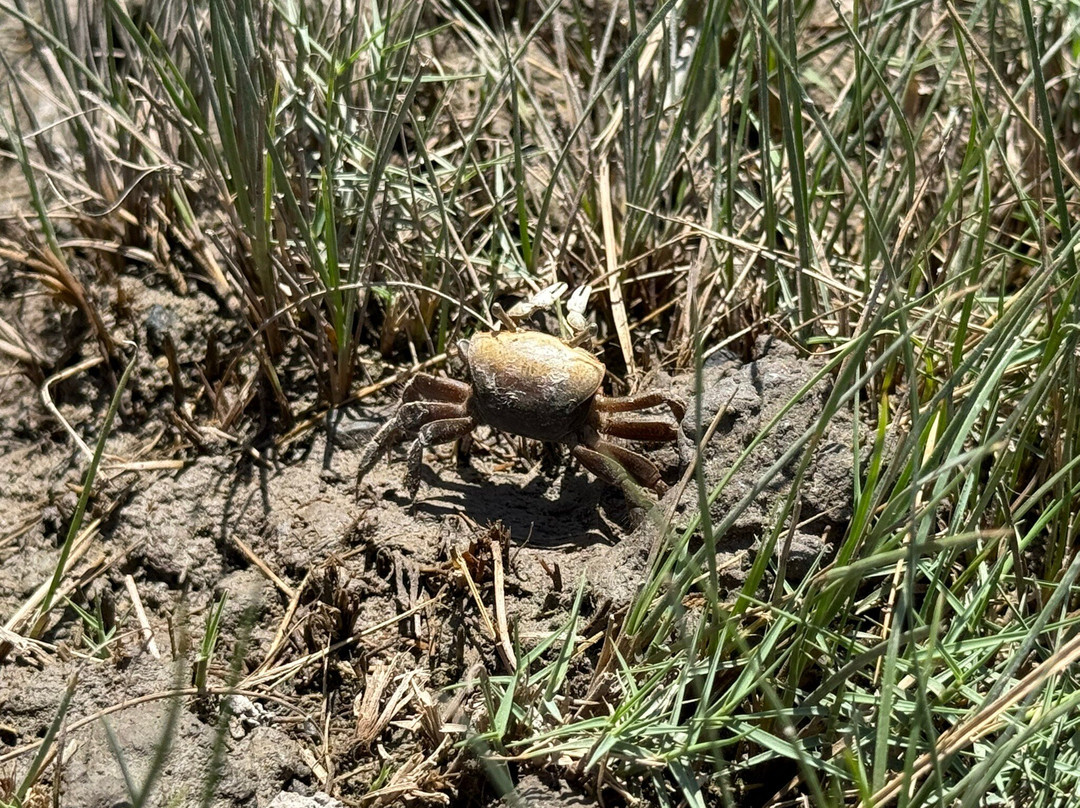 Smith Island-Crisfield必去景点