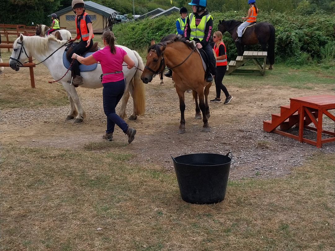 Sally's Riding School-St Helens必去景点
