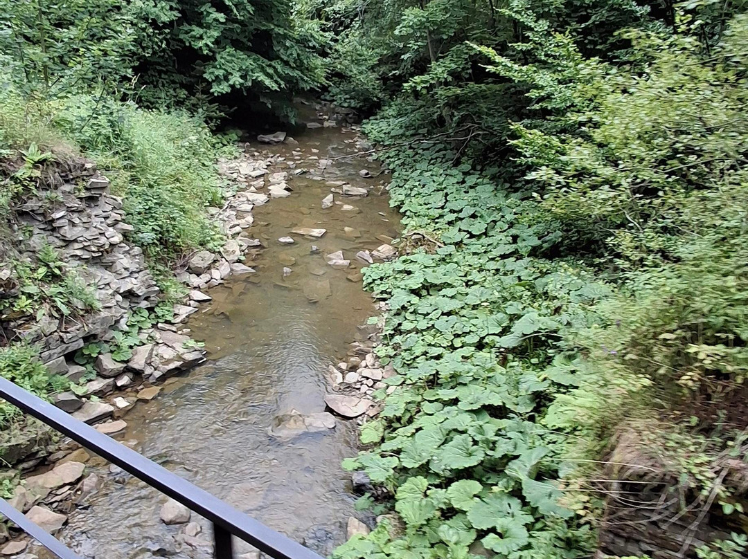 Bieszczadzka Kolejka Lesna-Cisna必去景点