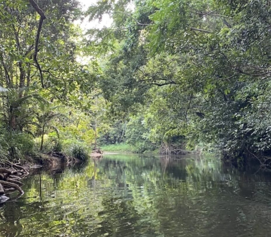 Pacific Watersports-棕榈湾必去景点