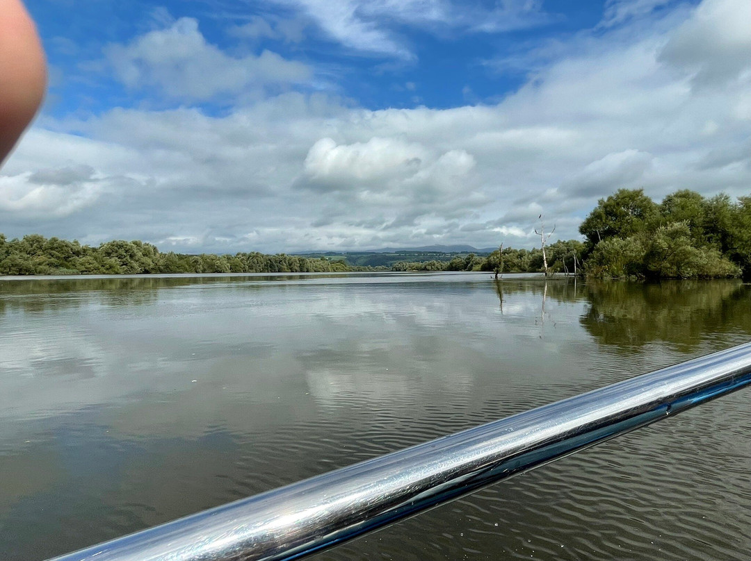 Blackwater Eco Tours-沃特福德必去景点