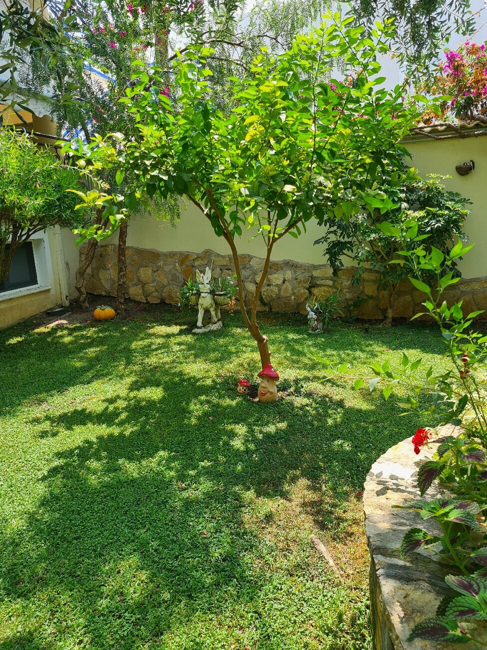 Hotel Loukas Vrachos-官方