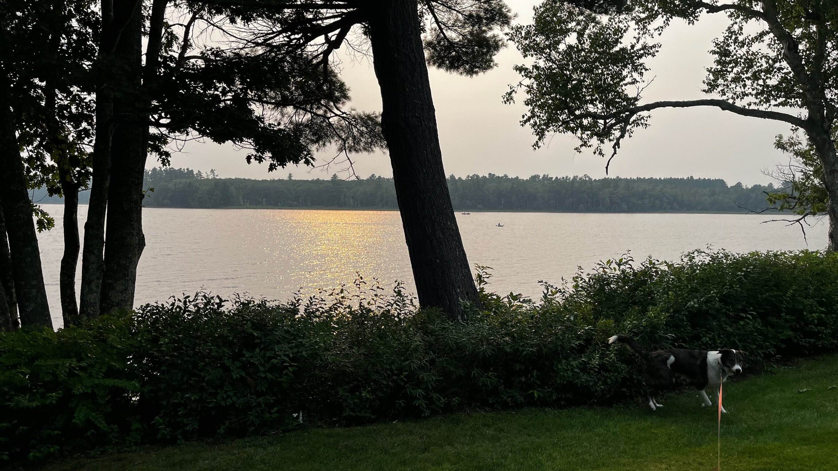 Wolf Cove Inn-浴室