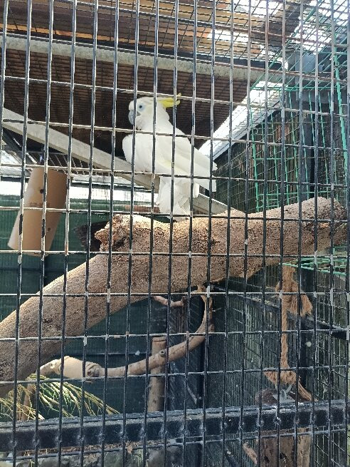 Pili Palas Nature World-Menai Bridge必去景点