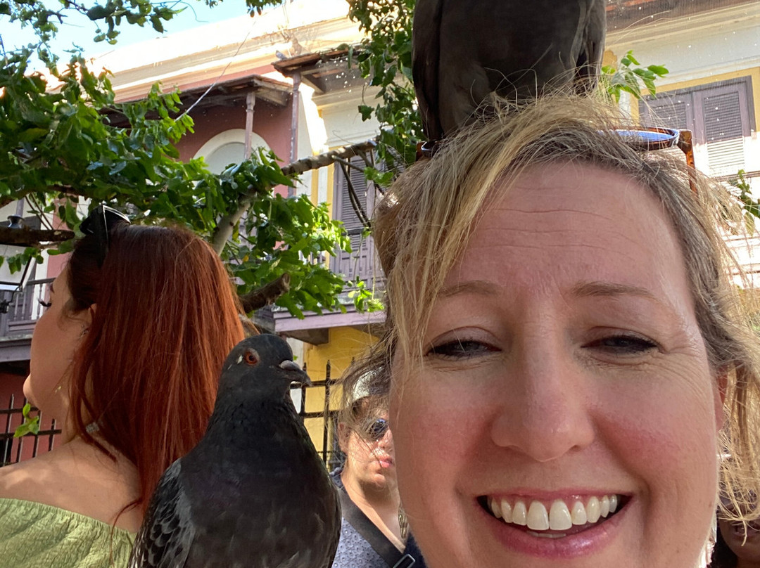 帕克达拉斯帕洛马斯-圣胡安必去景点