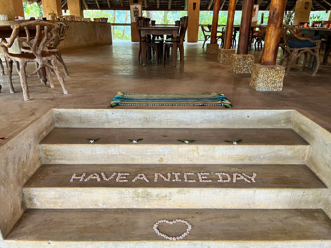 Rainforest Edge主图