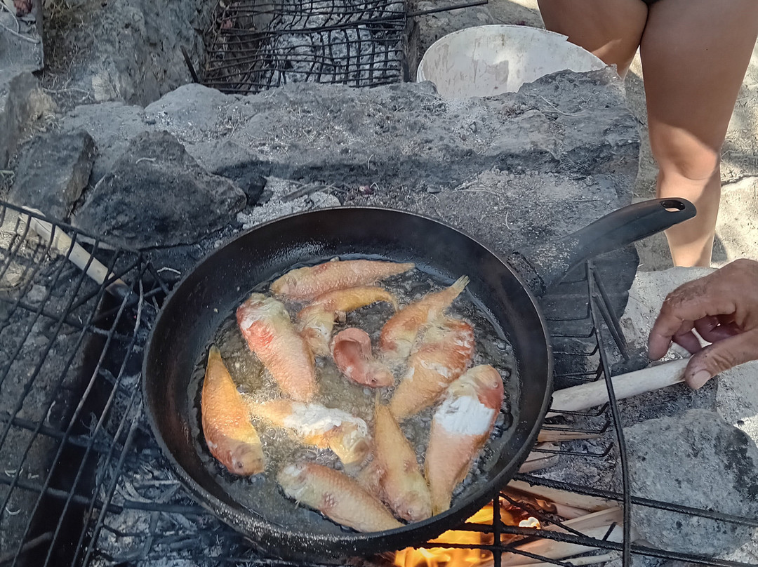 Fish & Fun With Nikos-Stegna必去景点