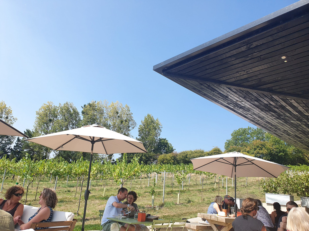 Wraxall Vineyard-Wraxall必去景点