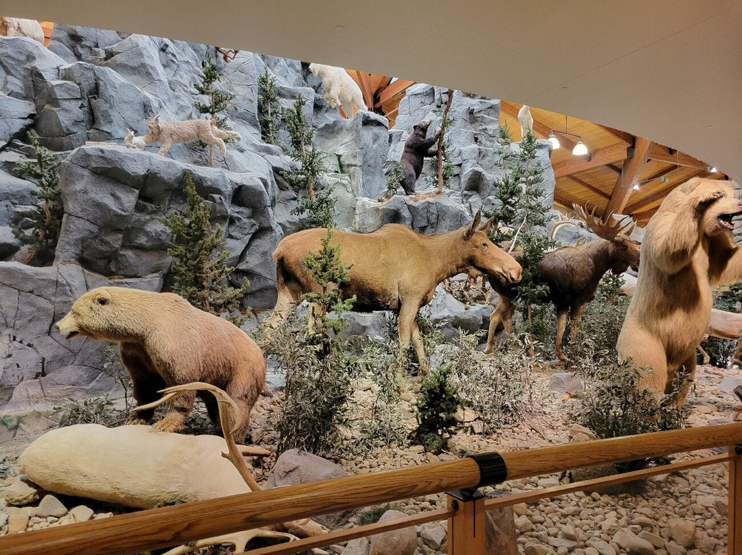 Cabela's-Triadelphia必去景点