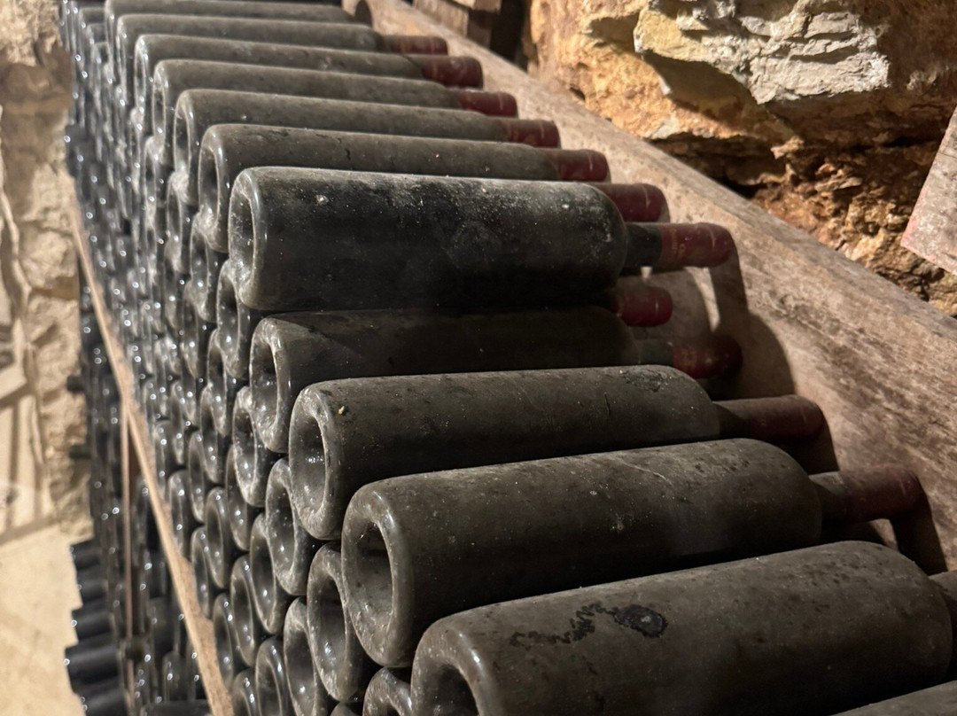 Chateau Sainte-Andree主图