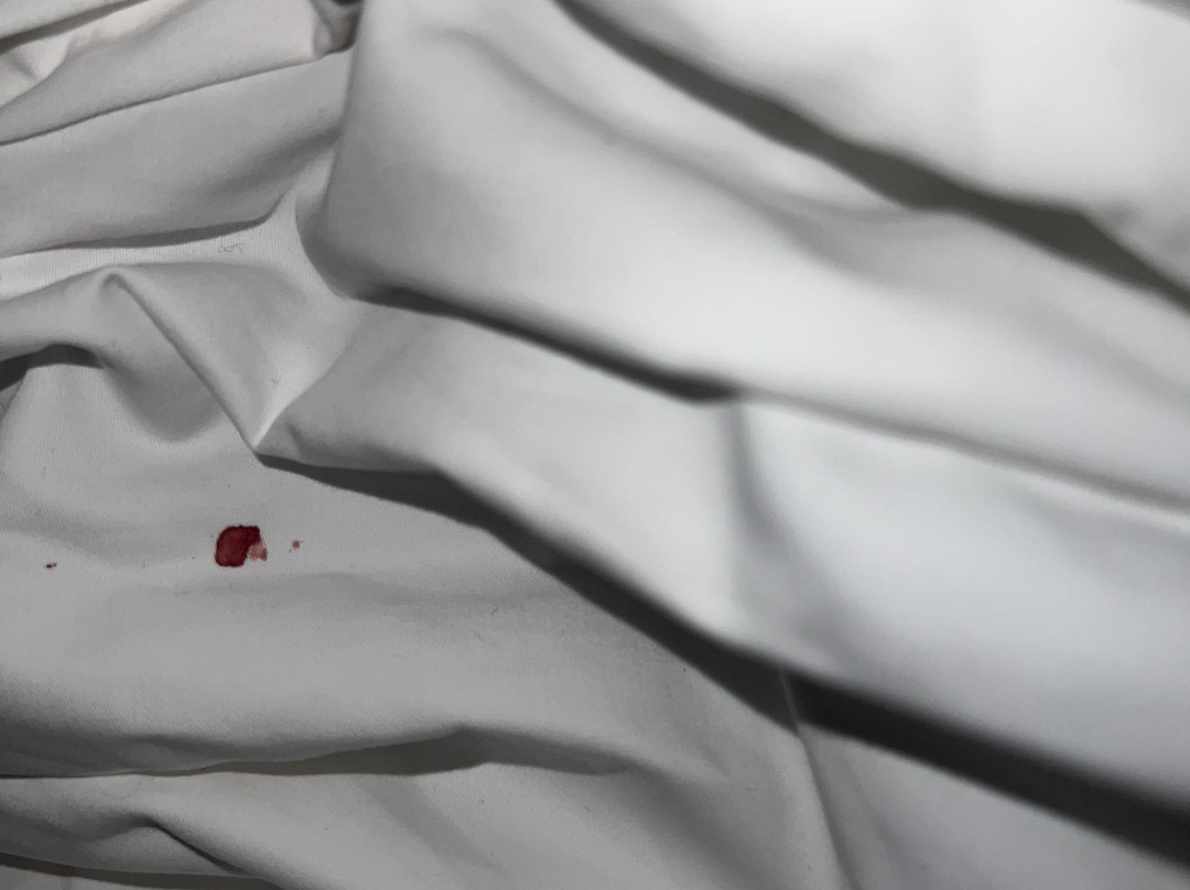 Hyatt Centric Old Town Alexandria主图