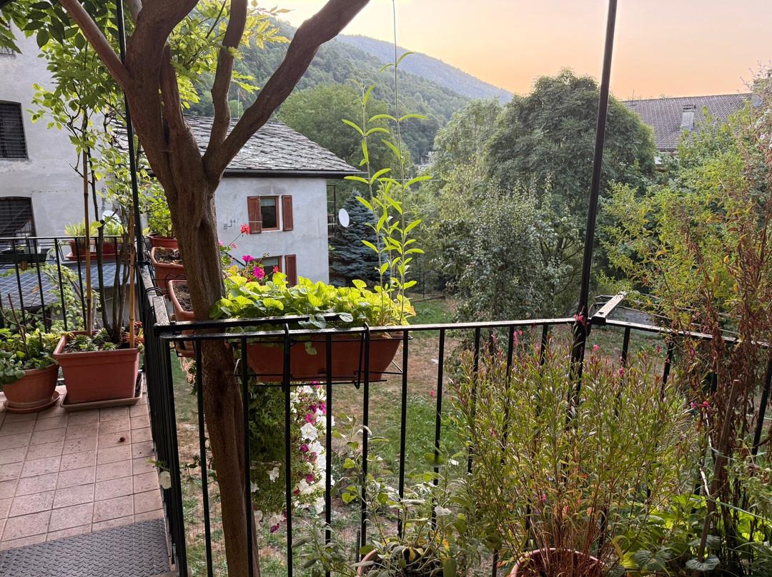 Bed & Breakfast Barba Bertu主图