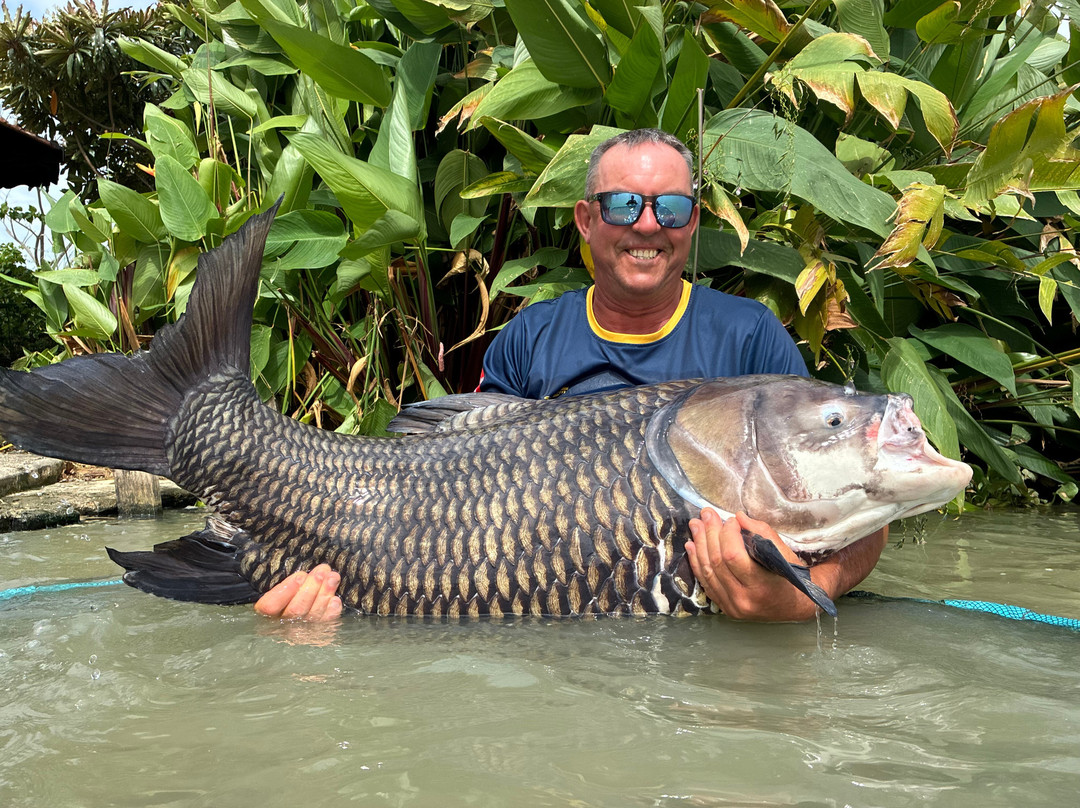 Jurassic Mountain Resort主图