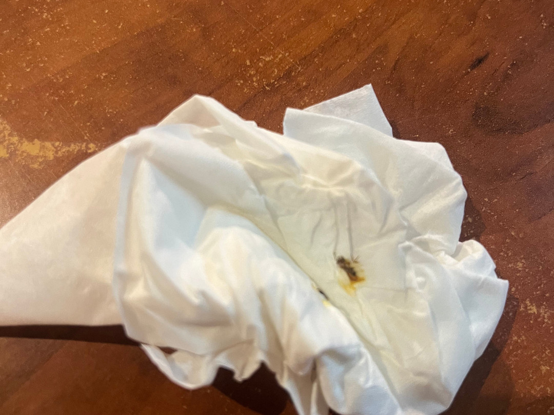 Hotel Le Principal主图